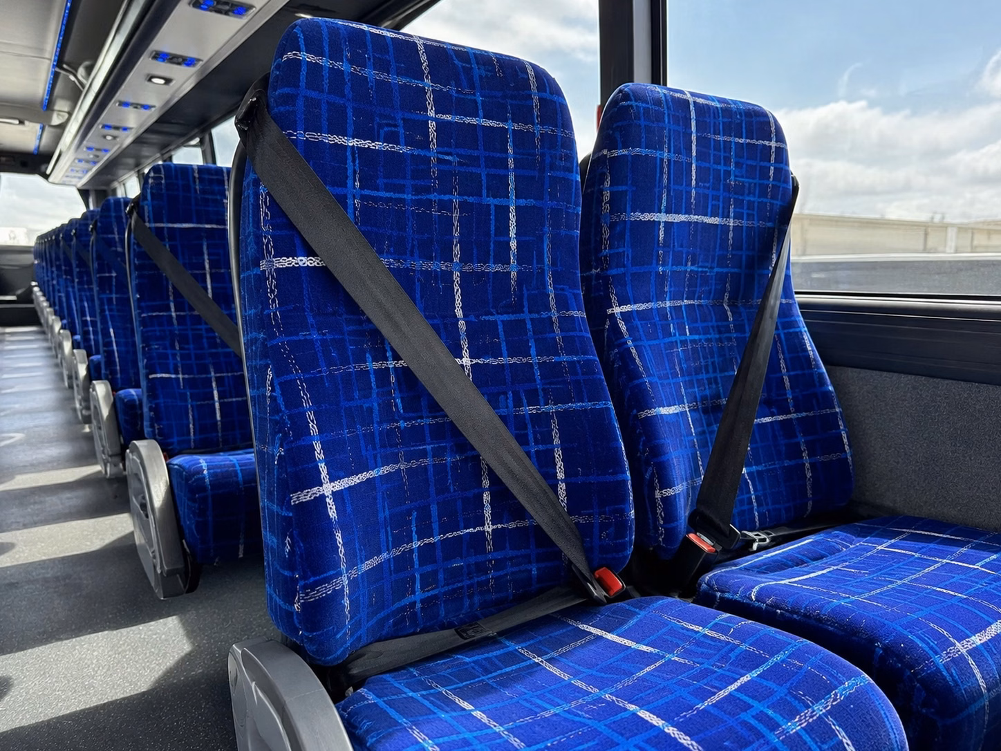 comparing greenville buses made simple
